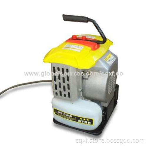 Digital Inverter Generator Set with 900W Rated Power and 1kVA Portable Gasoline
